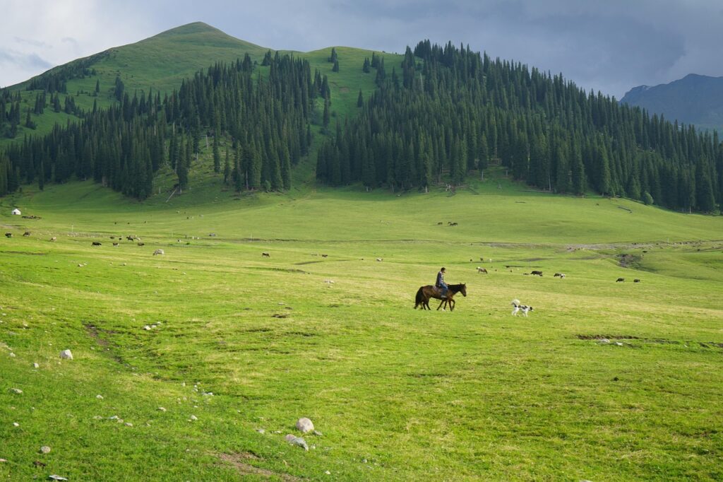 grassland, far mountain, horse riding, grassland, grassland, grassland, grassland, grassland