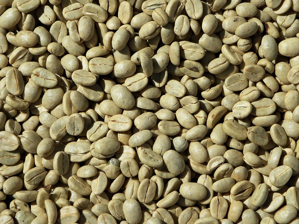 raw coffee, coffee beans, coffee, arabica, costa rica, raw coffee, raw coffee, raw coffee, raw coffee, raw coffee